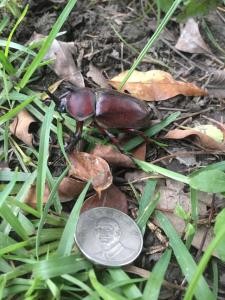 a pair of sunglasses sitting on the ground next to a coin at Yiho B&B in Ji'an