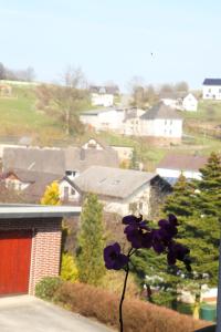 Fotografie z fotogalerie ubytování Haus Nova am Bollerberg v destinaci Hallenberg