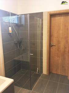 W łazience znajduje się prysznic ze szklanymi drzwiami. w obiekcie Lipno Vision Apartments w mieście Lipno nad Vltavou +37 zdjęć