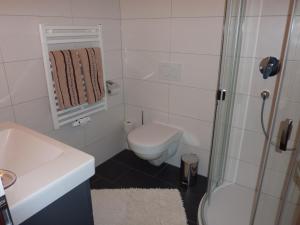 ヴェステンドルフにあるApartment Christophのバスルーム(トイレ、洗面台、シャワー付)