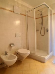 サン・マルティーノ・イン・バディーアにあるCol de Tlamesのバスルーム(シャワー、トイレ、シンク付)
