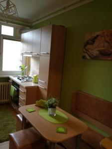 Kuchyň nebo kuchyňský kout v ubytování Green Apartment