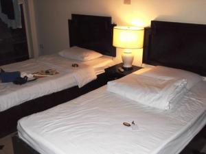 dwa łóżka w pokoju hotelowym z kotem siedzącym na nich w obiekcie Rim Ping Guest House w mieście Chiang Mai