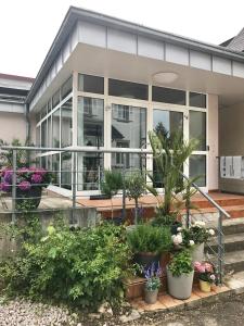 a house with plants in front of it at Apartment Kandern in Kandern