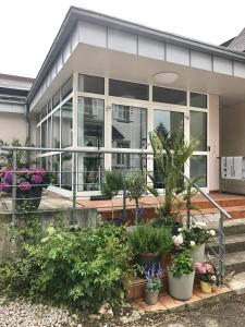 Κήπος έξω από το Apartment Kandern