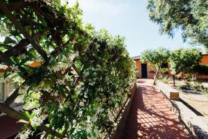 A garden outside Residence Renaione