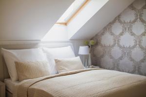 a bedroom with a bed with a skylight at Penzión Kúria in Nové Mesto nad Váhom