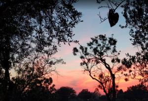 Gallery image of Agriturismo Il Poderino in Bibbona +63 photos