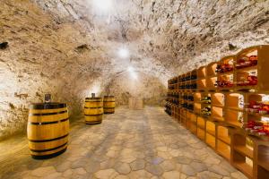 a wine cellar with barrels of wine in a tunnel at Penzión Kúria in Nové Mesto nad Váhom