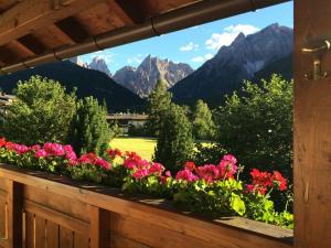 a window with flowers and mountains in the background at Hotel Holzer in Sesto