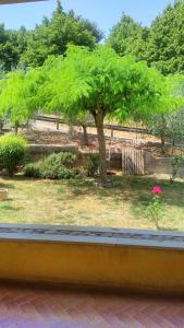 A garden outside Il girasole