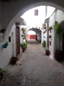 Fotografija v galeriji nastanitve Hotel Riad Dalia Tetouan v mestu Tétouan