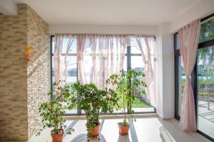 Балкон или терраса в Hotel Vis