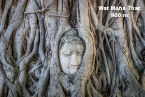 a head in the tree roots of a statue at Early Bird Hostel Ayutthaya in Phra Nakhon Si Ayutthaya
