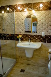 uma casa de banho com um lavatório e um chuveiro em Hotel Astoria em Satu Mare