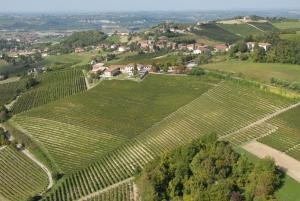 an aerial view of a bunch of green vineyards at Agriturismo Podere La Piazza in Costigliole dʼAsti