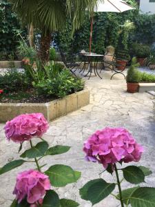 two pink flowers in a garden with a table at Domus Terenzio in Rome