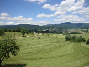 a large green field with mountains in the background at HOCHFICHTBLICK Apartments in Ulrichsberg