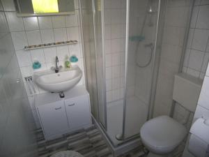 a bathroom with a shower and a toilet and a sink at Bungalow am Schmollensee in Sellin