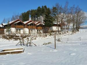 una casa en un campo cubierto de nieve con una valla en Ferienwohnung Wildgatter, en Grafenwiesen