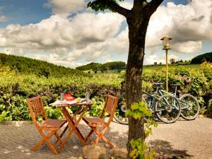 a table and chairs next to a tree with bikes at Sunday Hotel Willingen in Willingen