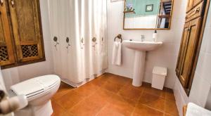 a bathroom with a toilet and a sink at Casa La Herradura in Royuela +29 photos