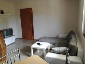 - un salon avec un canapé et une table dans l'établissement Apartment Nela, à Funtana