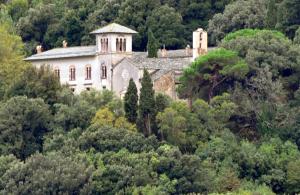 an old house on top of a hill with trees at CHÂTEAU CAGNINACCI B&B in San-Martino-di-Lota
