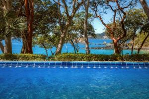 伊斯塔帕的住宿－拉斯布里薩斯伊斯塔巴酒店，一座种有树木和水体的游泳池