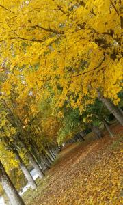 Gallery image of Château De Serrigny in Ladoix Serrigny +24 photos