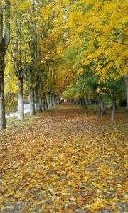 Gallery image of Château De Serrigny in Ladoix Serrigny