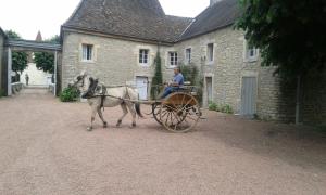 Gallery image of Château De Serrigny in Ladoix Serrigny