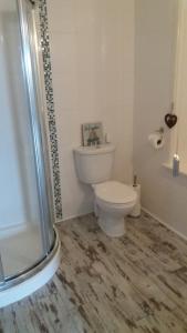 a bathroom with a toilet and a shower at Greencastle B&B in Kilkeel +29 photos