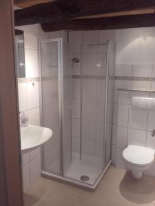 a bathroom with a shower and a toilet and a sink at Ferienwohnung-Hallebach in Zell an der Mosel