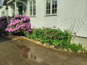 a garden of flowers in front of a house at Grong Gård Guesthouse in Grong