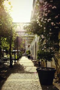 Um jardim no exterior de The Vintage House - Douro