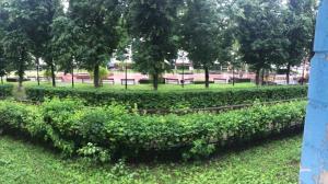 トゥーラにあるGreen Apart в центре Тулыの茂みの並ぶ公園のベンチ
