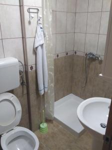 a bathroom with a shower and a toilet and a sink at Apartments Suzana in Herceg-Novi