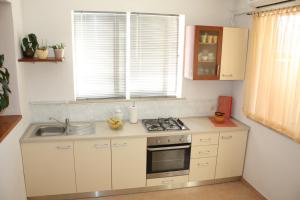 eine kleine Küche mit Herd und Spüle in der Unterkunft Apartment Anand in Dubrovnik