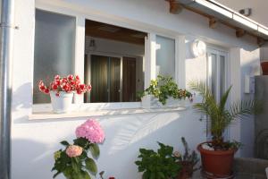 ein Fenster mit Topfpflanzen an der Seite eines Hauses in der Unterkunft Apartment Anand in Dubrovnik
