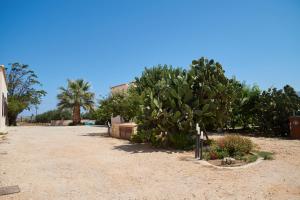 Torre Nubia的住宿－Casolare Nelle Saline，泥土路上的刺梨树