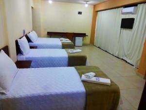 TV a/nebo společenská místnost v ubytování Hotel Monte Carlo Uberaba - Próximo ao Hospital UFTM , Hospital Dr Hélio Angotti e Hospital Regional Uberaba