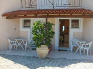 a plant in a pot in front of a house at Gouna's Aparts in Xi