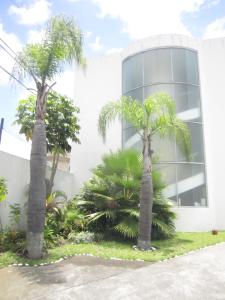 two palm trees in front of a building at Auto Hotel Mediterráneo in Xalapa