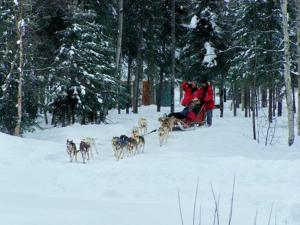 a group of people riding on a sled pulled by a group of dogs at Chena Hot Springs Resort in Chena Hot Springs