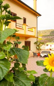 um edifício amarelo com um banco e um girassol em Casa vacanze Sandalia em Bosa