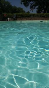 The swimming pool at or close to Casale Montemoro