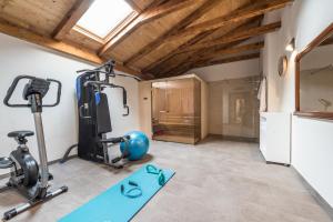 Fitness centrum a/nebo fitness zařízení v ubytování Villa Dumina
