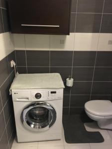 ワルシャワにあるApartament w Wesołejのバスルーム(洗濯機、トイレ付)