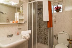 LithakiaにあるIrida's Apartmentのバスルーム(シャワー、洗面台、トイレ付)